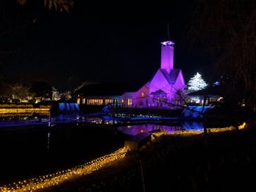 なばなの里に投稿された画像（2020/12/5）