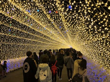 なばなの里に投稿された画像（2020/12/5）