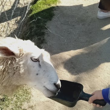 神戸どうぶつ王国に投稿された画像（2020/12/5）