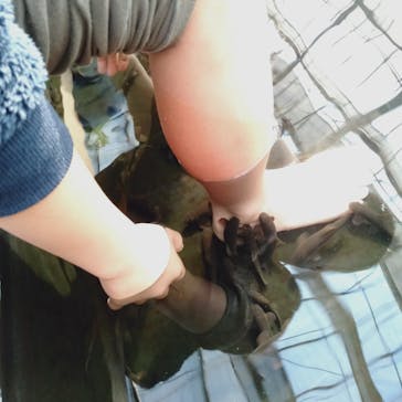 神戸どうぶつ王国に投稿された画像（2020/12/5）