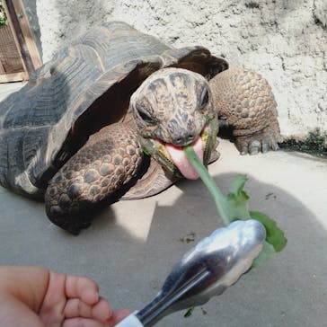 神戸どうぶつ王国に投稿された画像（2020/12/5）