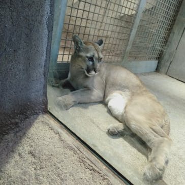 神戸どうぶつ王国に投稿された画像（2020/12/5）