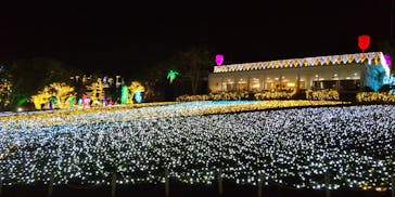 美らヤシパークオキナワ・東南植物楽園に投稿された画像（2020/12/5）