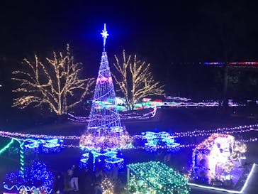 とっとり花回廊に投稿された画像（2020/12/5）