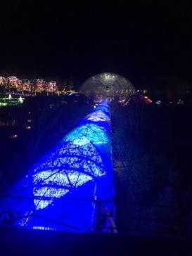 とっとり花回廊に投稿された画像（2020/12/5）