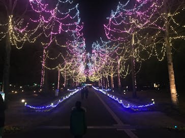 とっとり花回廊に投稿された画像（2020/12/5）