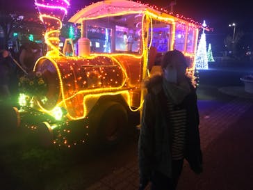 とっとり花回廊に投稿された画像（2020/12/5）