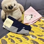 京都水族館に投稿された画像（2020/12/6）