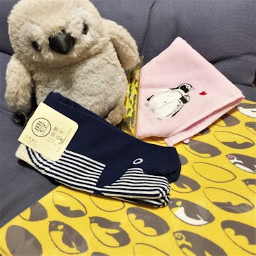 京都水族館に投稿された画像（2020/12/5）