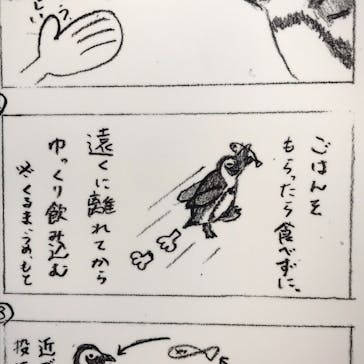 京都水族館に投稿された画像（2020/12/5）