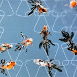 すみだ水族館に投稿された画像（2020/12/6）