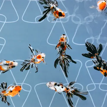 すみだ水族館に投稿された画像（2020/12/5）