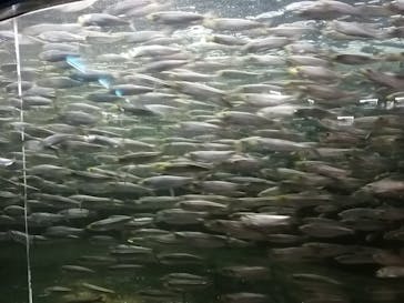 株式会社Gに投稿された画像（2020/12/6）