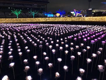 東京メガイルミに投稿された画像（2020/12/6）