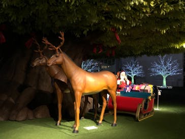 東京メガイルミに投稿された画像（2020/12/6）