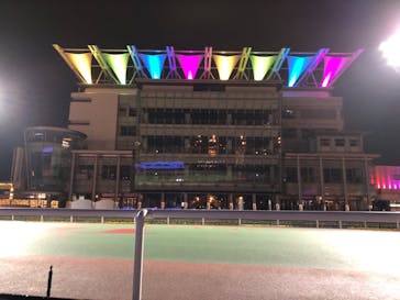 東京メガイルミに投稿された画像（2020/12/6）