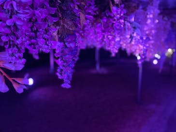 東京メガイルミに投稿された画像（2020/12/6）