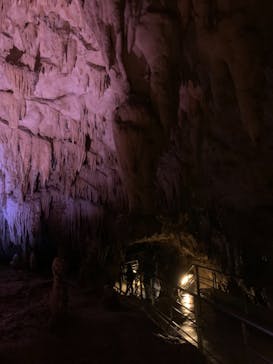 おきなわワールドに投稿された画像（2020/12/6）