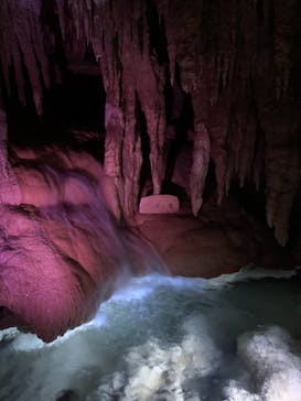 おきなわワールドに投稿された画像（2020/12/6）