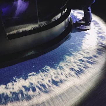 すみだ水族館に投稿された画像（2020/12/6）