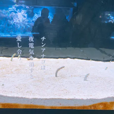 すみだ水族館に投稿された画像（2020/12/6）