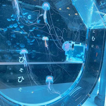 すみだ水族館に投稿された画像（2020/12/6）