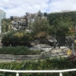 サンシャイン水族館に投稿された画像（2020/12/6）