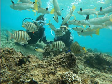 青の洞窟専門店　沖縄ダイビングショップ和に投稿された画像（2020/12/6）