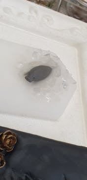 ずこうしつ〜sugamo〜に投稿された画像（2020/12/6）