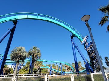 ナガシマスパーランドに投稿された画像（2020/12/6）