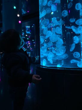 マクセル アクアパーク品川に投稿された画像（2020/12/6）