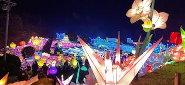 伊豆ぐらんぱる公園に投稿された画像（2020/12/6）