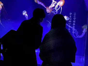 すみだ水族館に投稿された画像（2020/12/6）