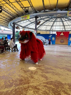 おきなわワールドに投稿された画像（2020/12/6）