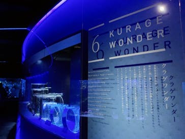 京都水族館に投稿された画像（2020/12/6）