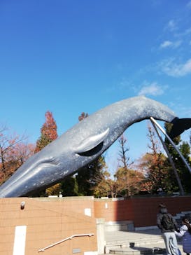 国立科学博物館に投稿された画像（2020/12/6）