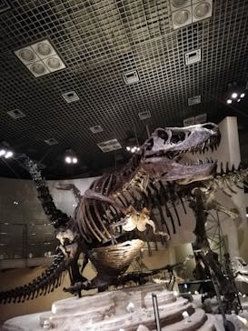 国立科学博物館に投稿された画像（2020/12/6）