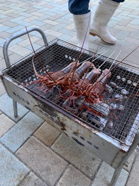 志摩市浜島磯体験施設 海ほおずきに投稿された画像（2020/12/6）