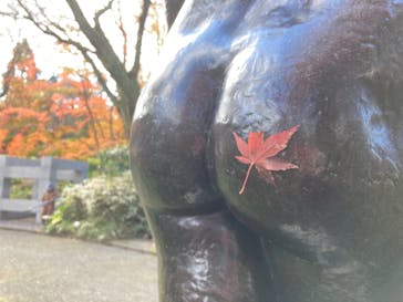 彫刻の森美術館に投稿された画像（2020/12/6）