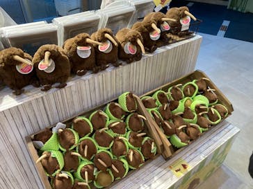 天王寺動物園に投稿された画像（2020/12/6）