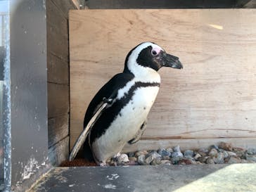 京都水族館に投稿された画像（2020/12/6）