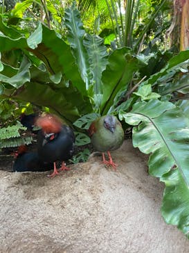 神戸どうぶつ王国に投稿された画像（2020/12/6）