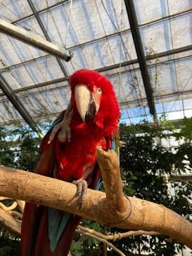 神戸どうぶつ王国に投稿された画像（2020/12/6）