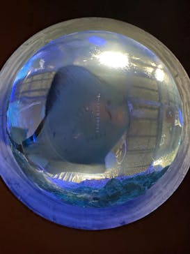 京都水族館に投稿された画像（2020/12/6）