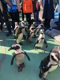 ゼロ距離水族館 伊勢シーパラダイスに投稿された画像（2020/12/6）