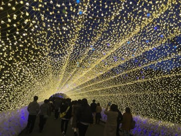 なばなの里に投稿された画像（2020/12/6）