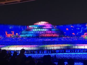 なばなの里に投稿された画像（2020/12/6）