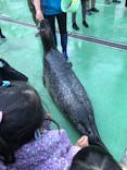 ゼロ距離水族館 伊勢シーパラダイスに投稿された画像（2020/12/6）
