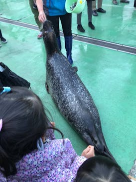 ゼロ距離水族館 伊勢シーパラダイスに投稿された画像（2020/12/6）
