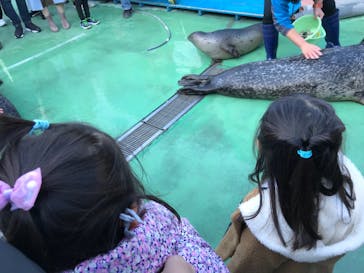 ゼロ距離水族館 伊勢シーパラダイスに投稿された画像（2020/12/6）